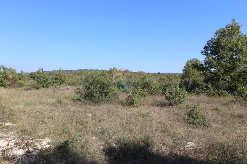 Image 5490498 - 3