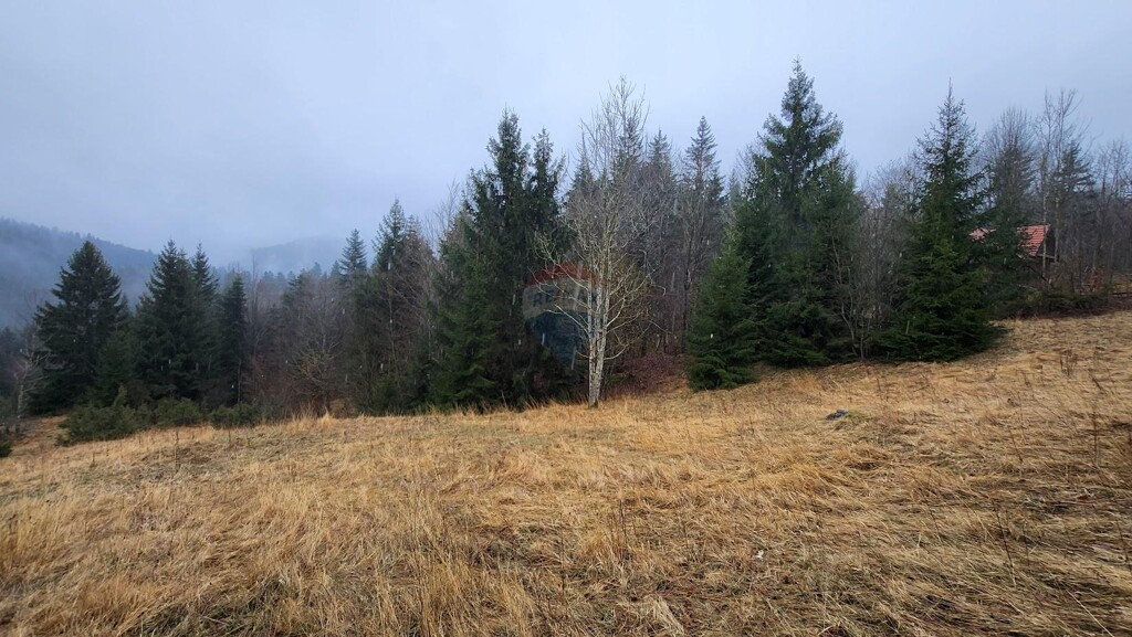 Image 5496751 - 4