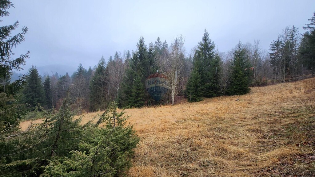 Image 5496751 - 3