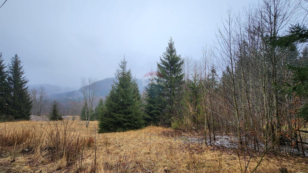 Image 5496751 - 2