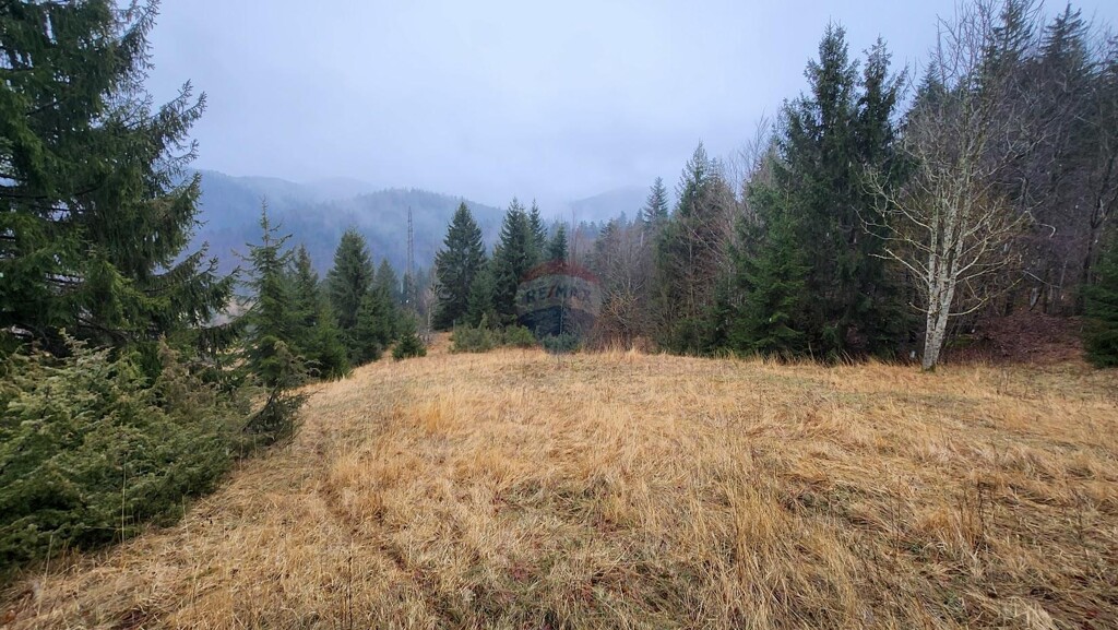 Image 5496751 - 1