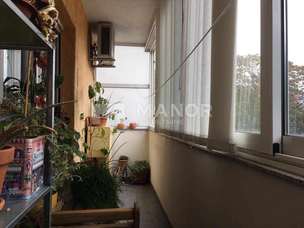 Image 5497497 - 11