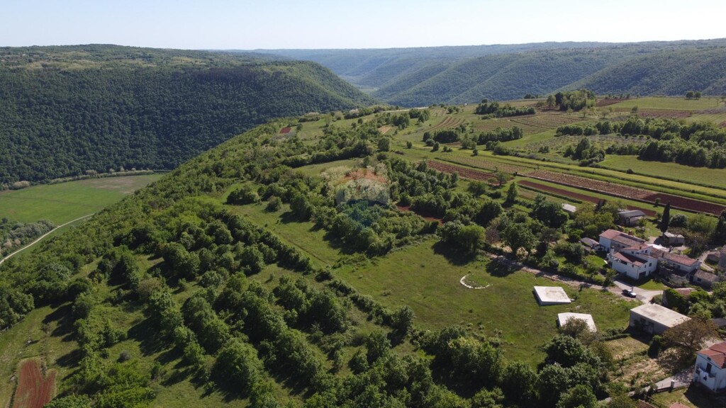 Image 5497533 - 8
