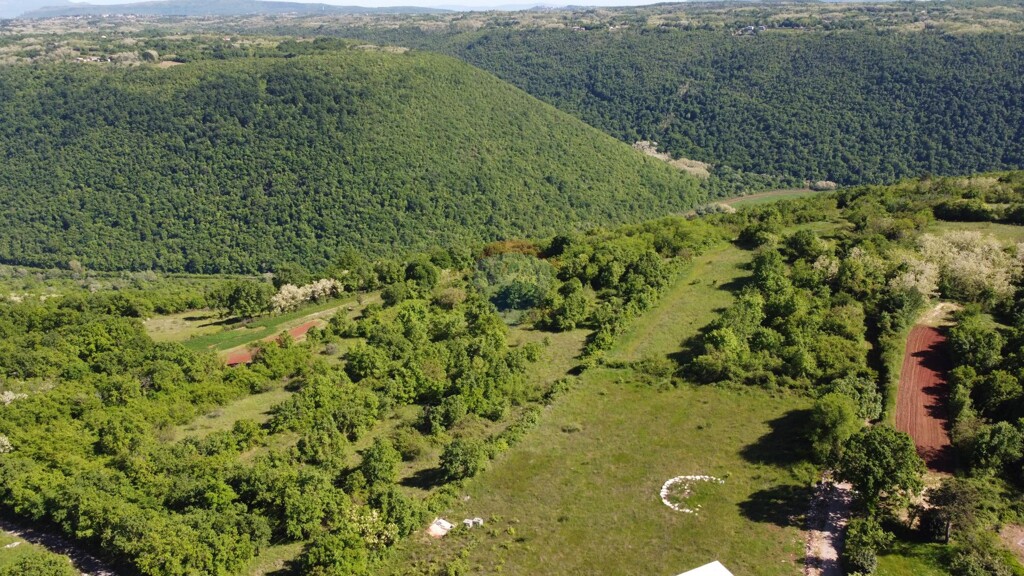 Image 5497533 - 4