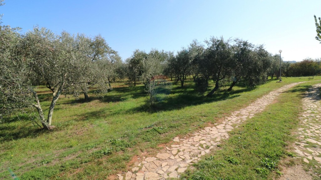 Image 5497540 - 1