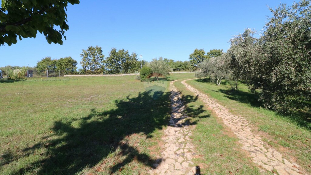 Image 5497540 - 2