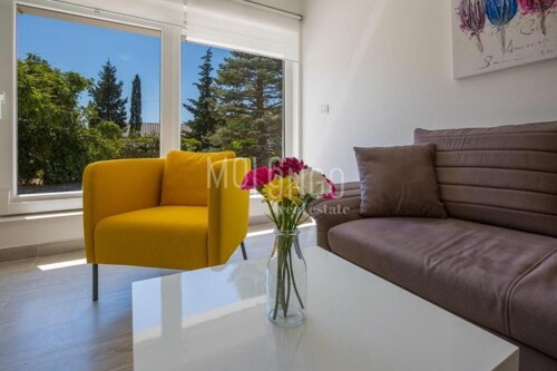 Thumbnail 5498421 - 5