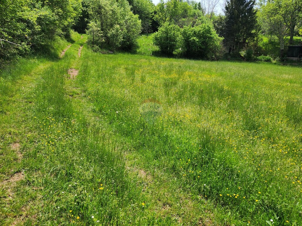 Image 5498596 - 7