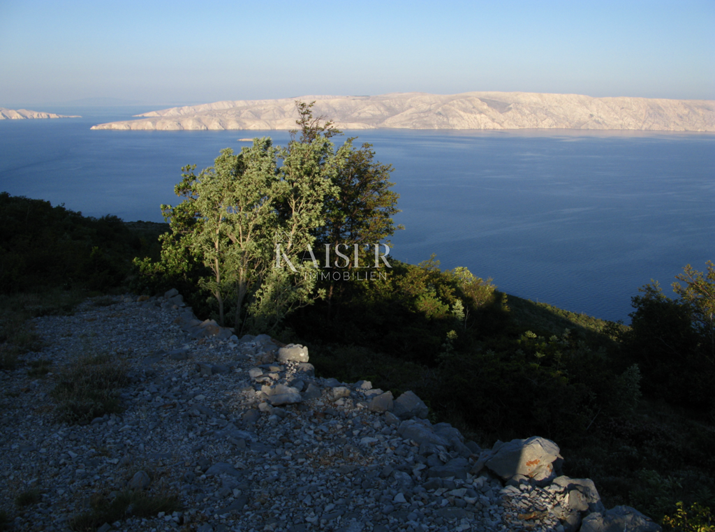 Image 5499202 - 7