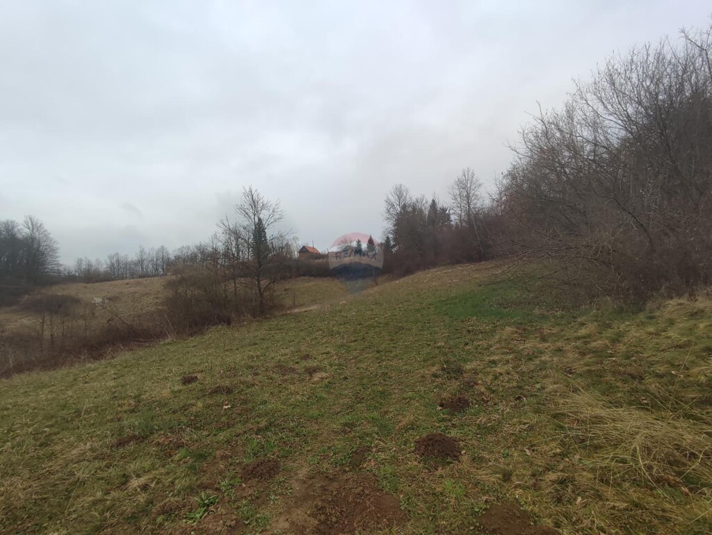 Image 5499247 - 1