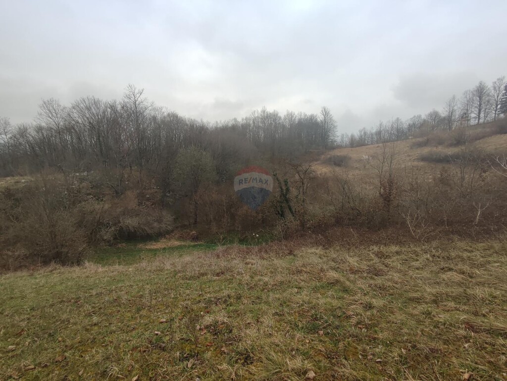 Image 5499247 - 3