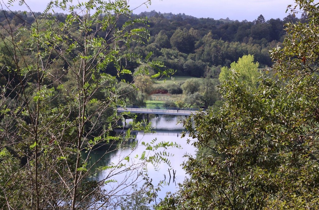Image 5499247 - 5
