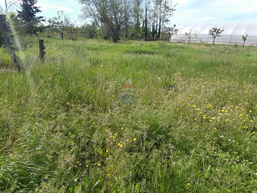 Image 5499255 - 2