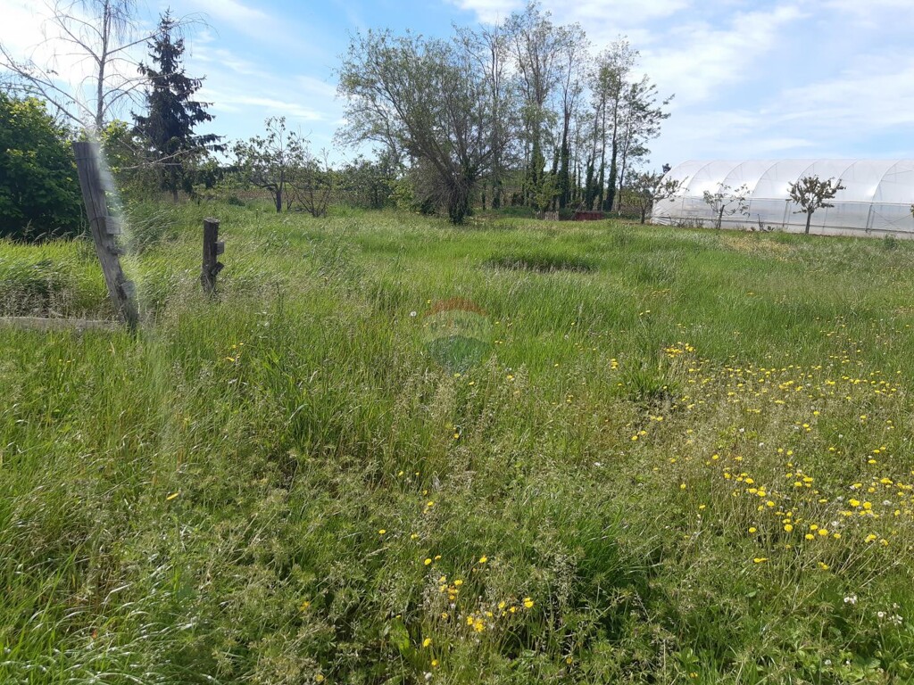 Image 5499255 - 3