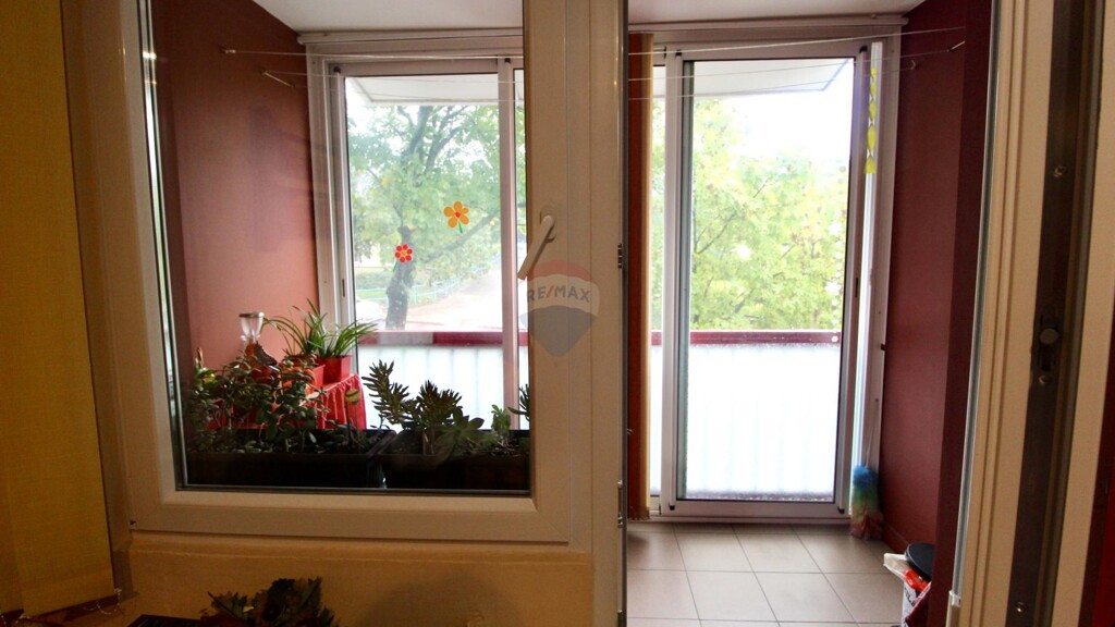 Image 5499266 - 2