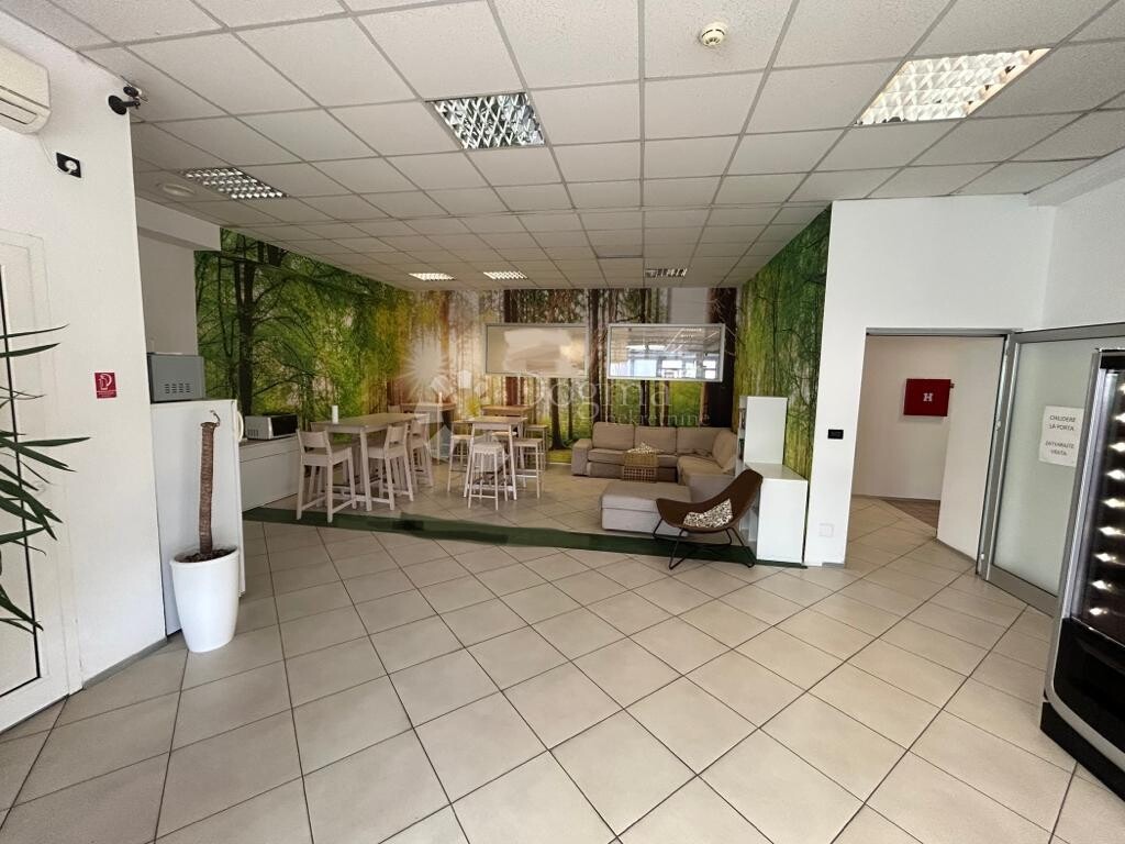 Image 5499849 - 10