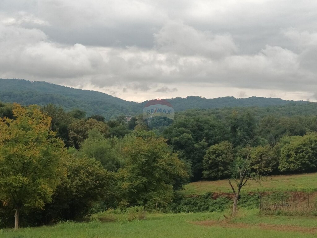 Image 5500153 - 4