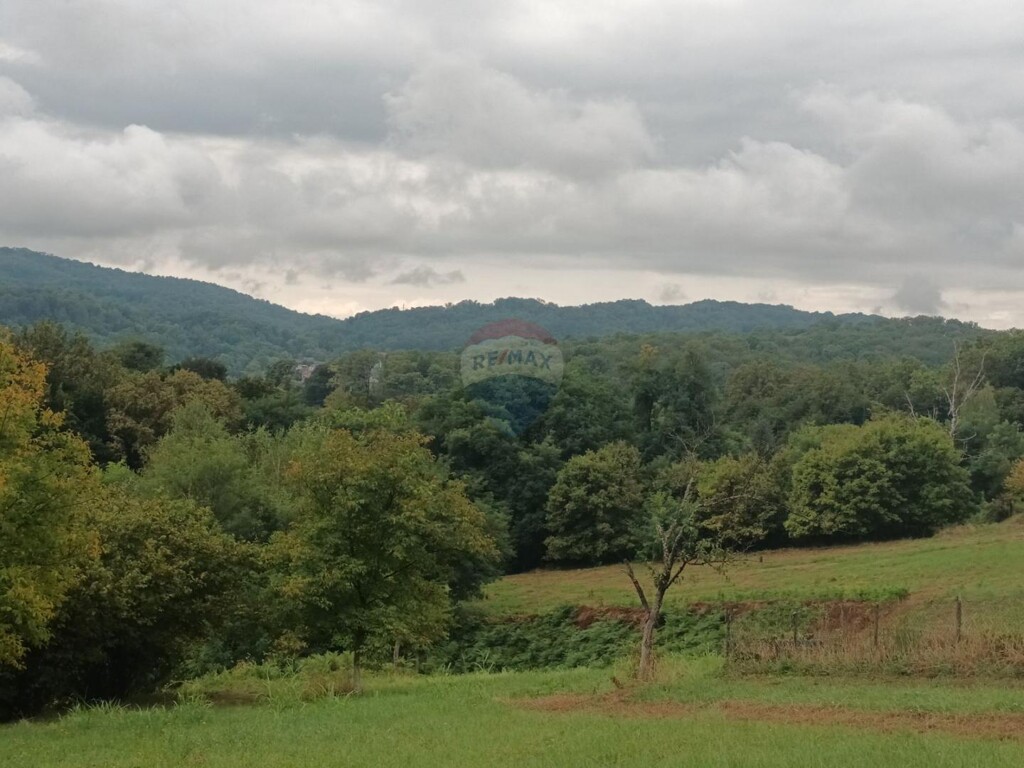 Image 5500153 - 1