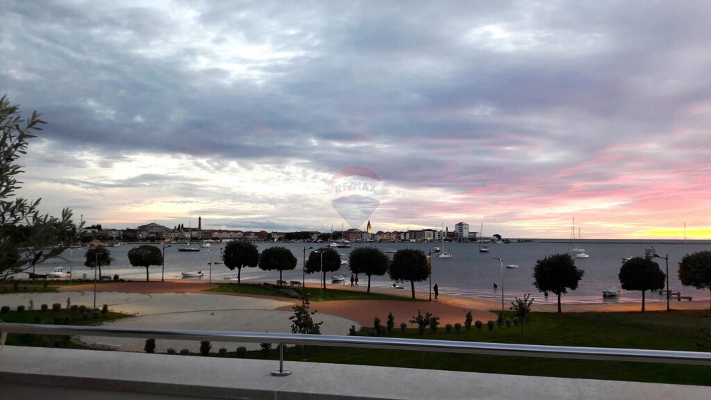 Image 5500624 - 24