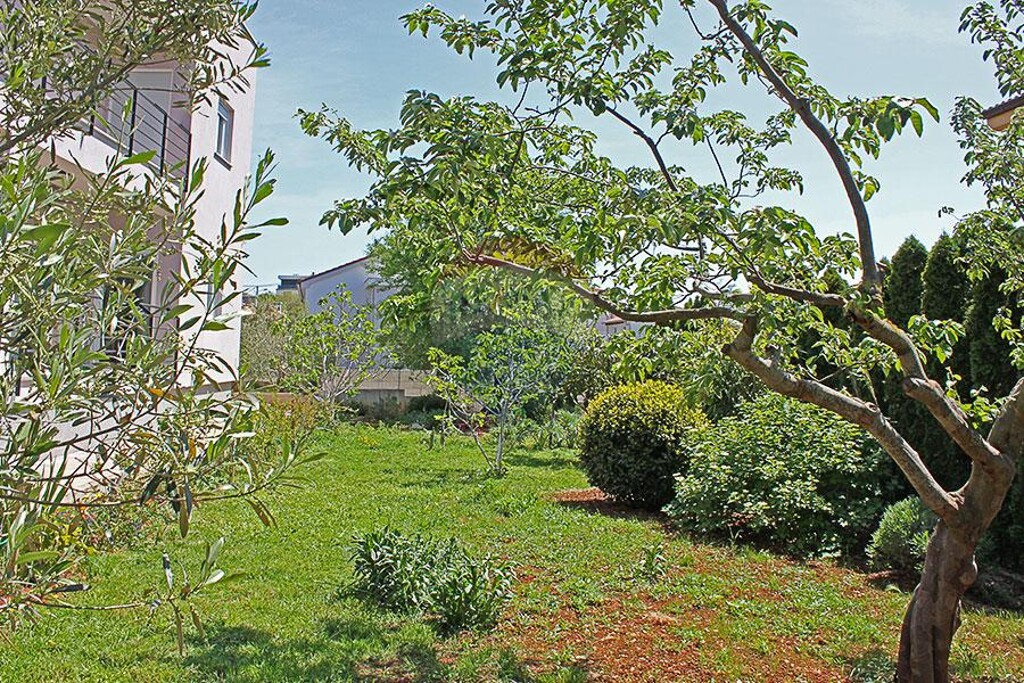 Image 5500627 - 17