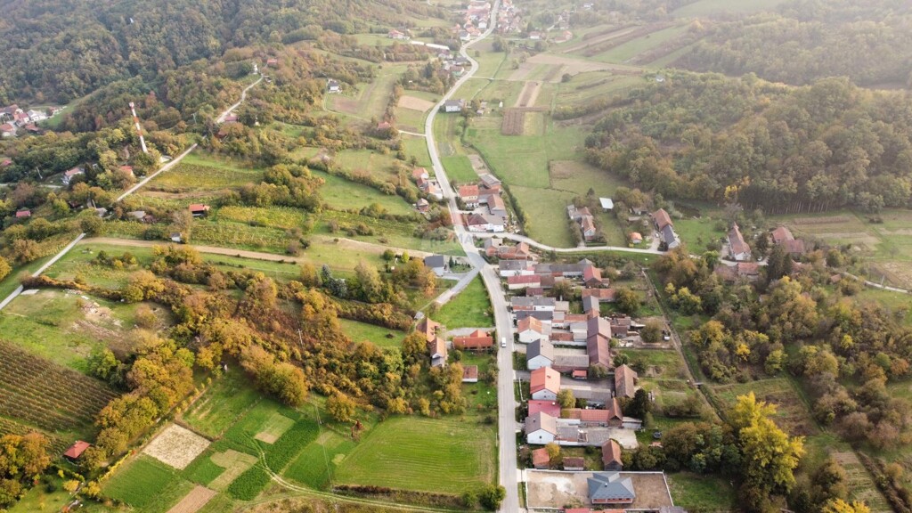Image 5500630 - 3