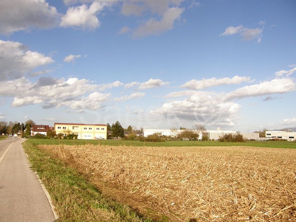 Image 5501828 - 4