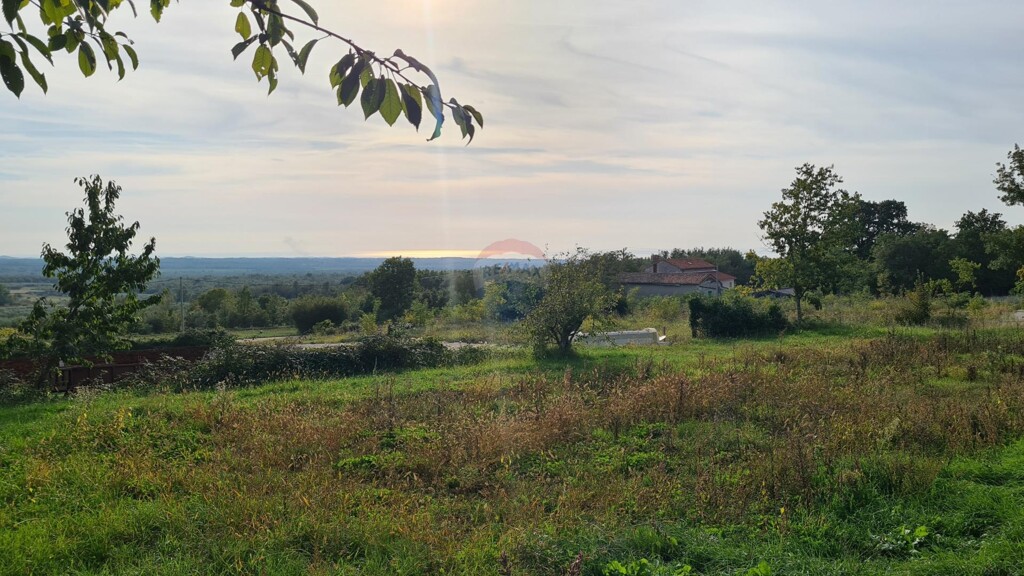 Image 5502580 - 11