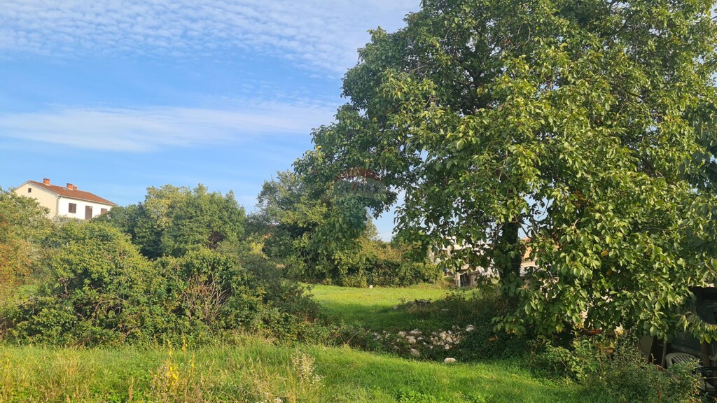 Image 5502580 - 10