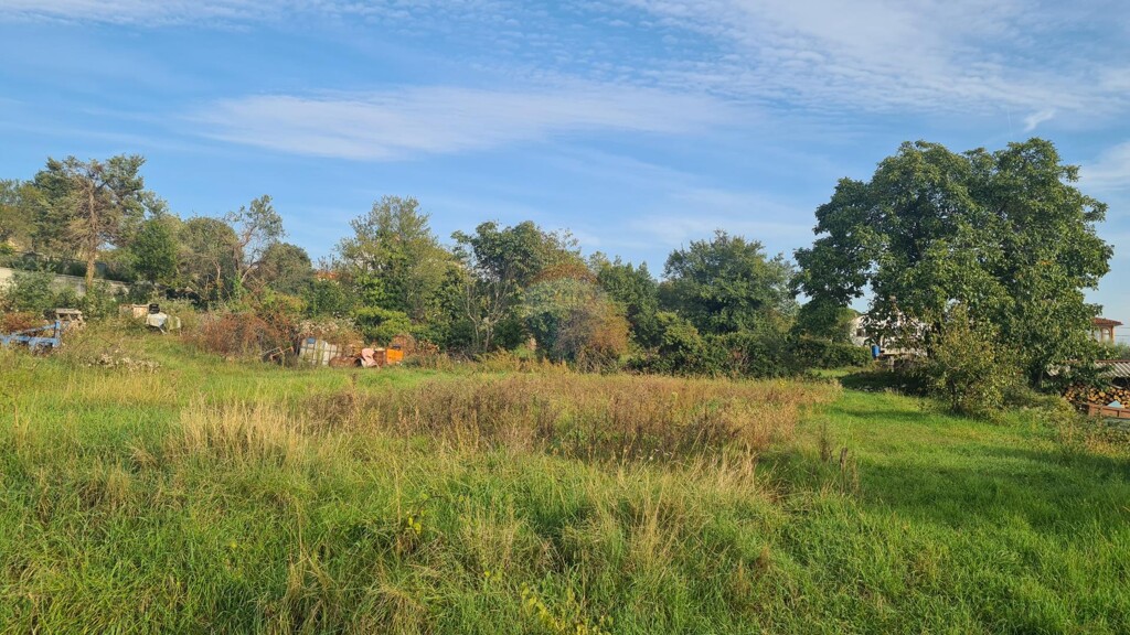 Image 5502580 - 8