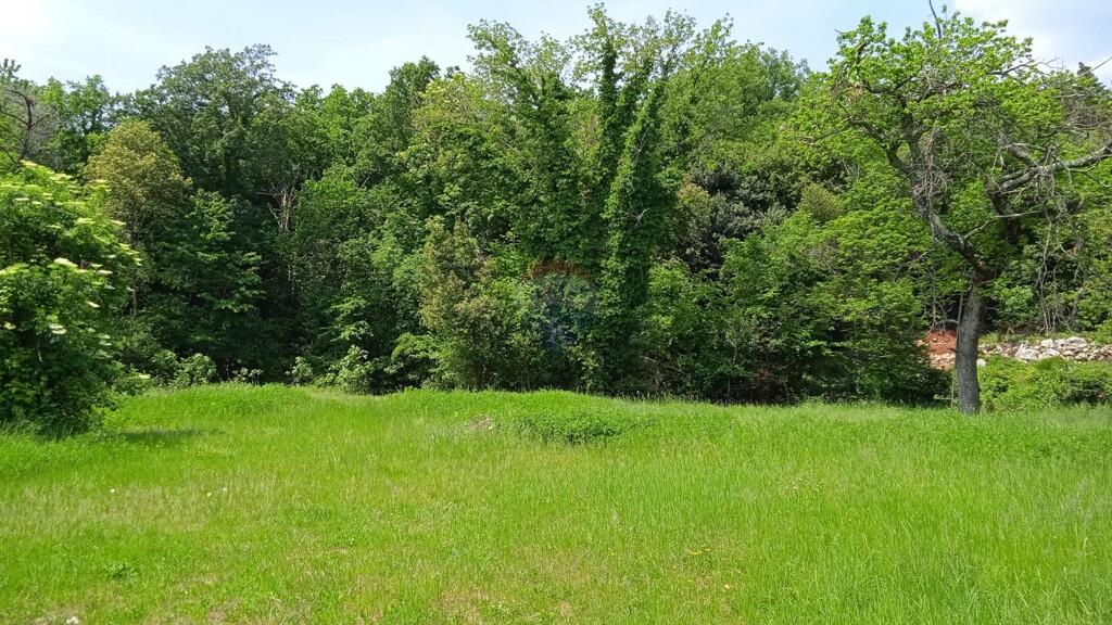 Image 5502582 - 1