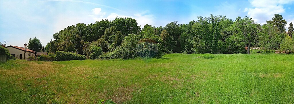 Image 5502582 - 2