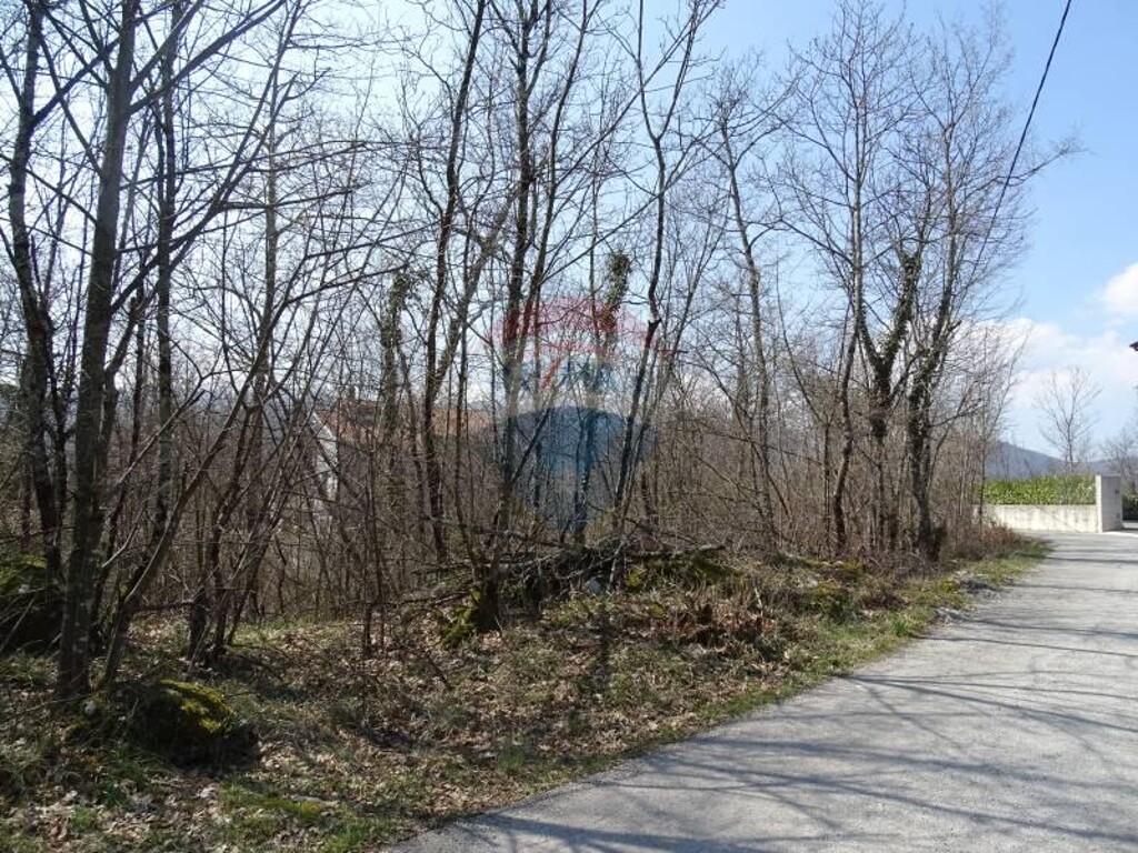 Image 5502583 - 7