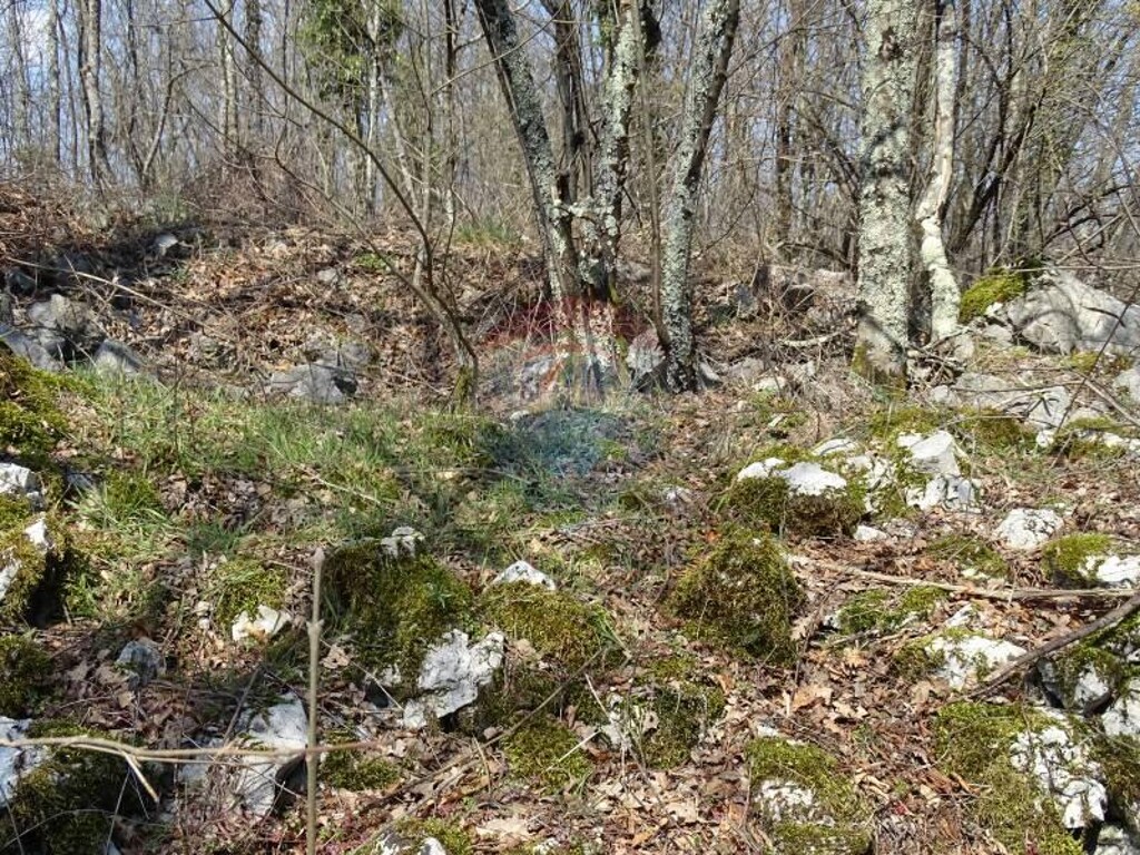 Image 5502583 - 5