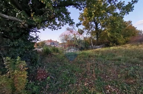 Thumbnail 5502586 - 1