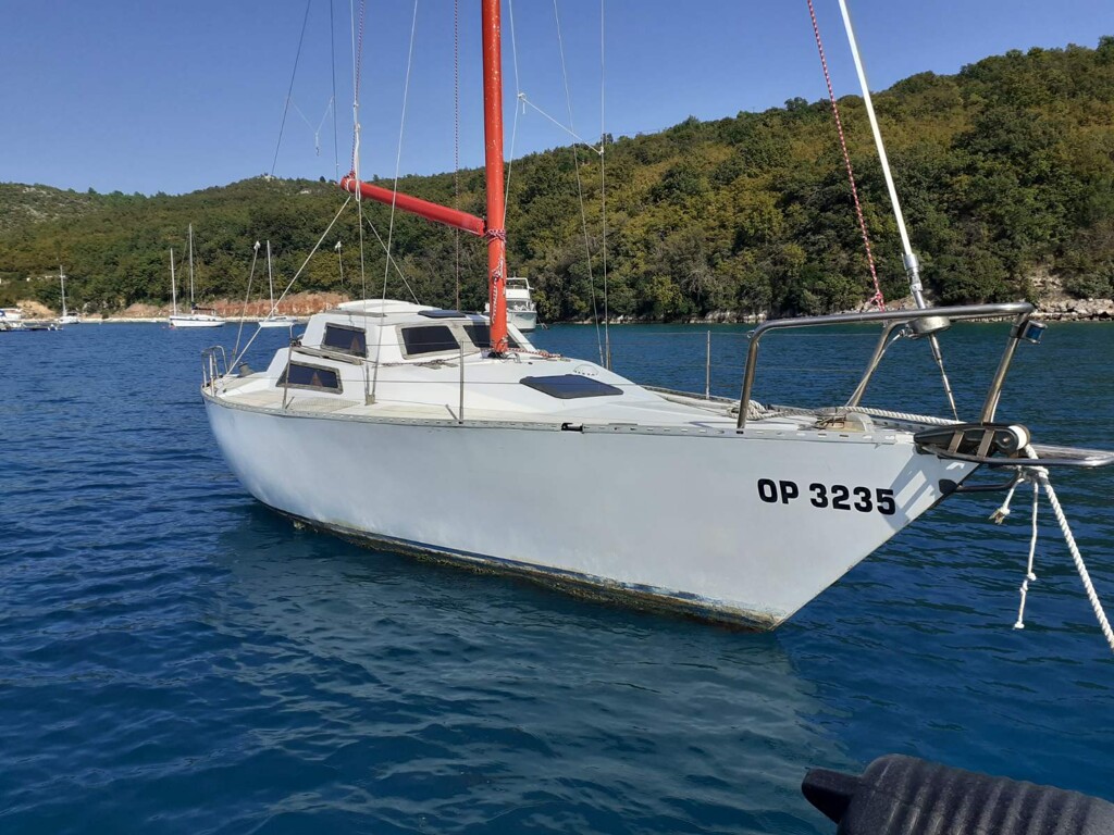 Image 6