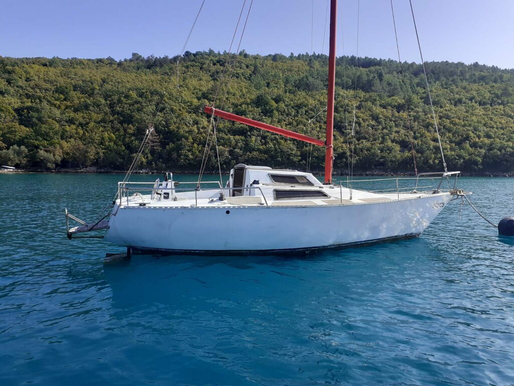 Image 1