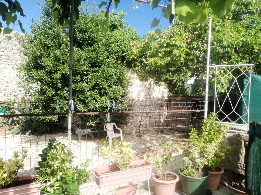 Image 5503270 - 2