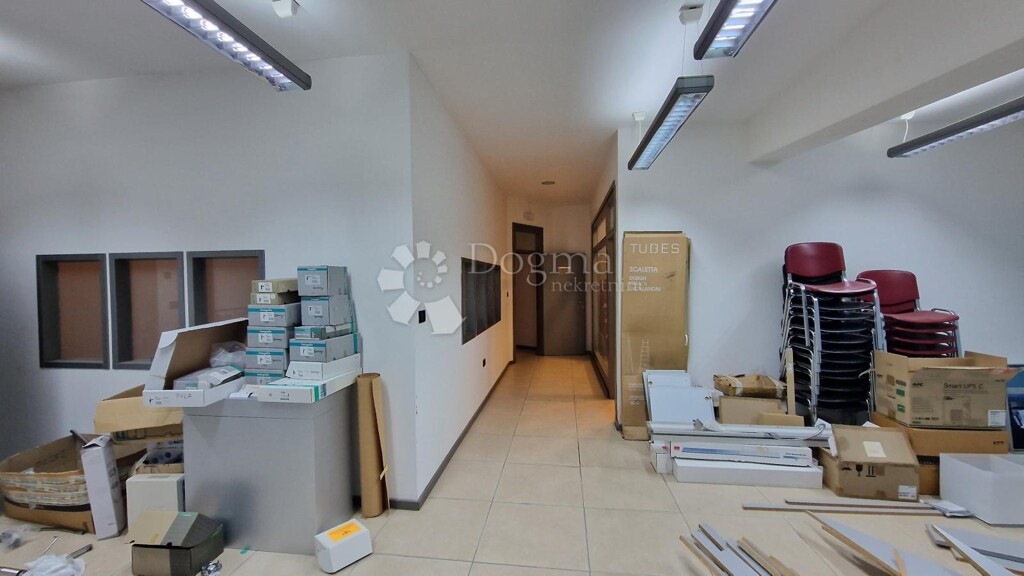 Image 5503284 - 11