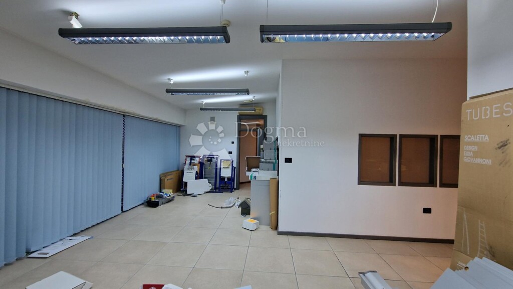 Image 5503284 - 10