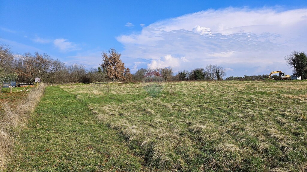 Image 5503572 - 3
