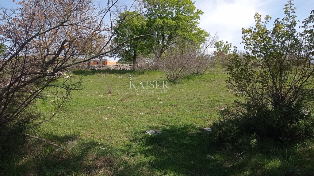 Image 5504679 - 5