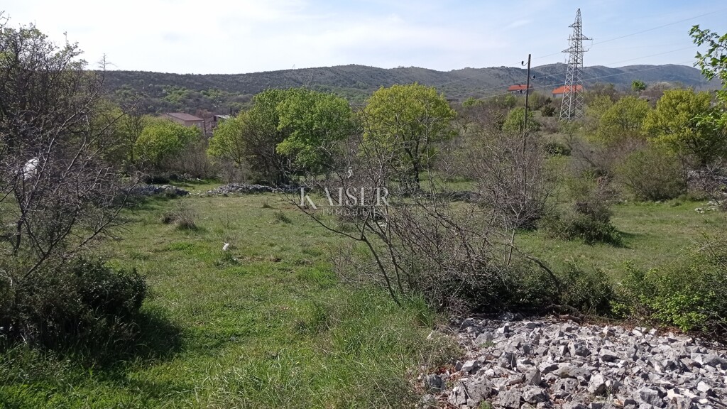 Image 5504680 - 4