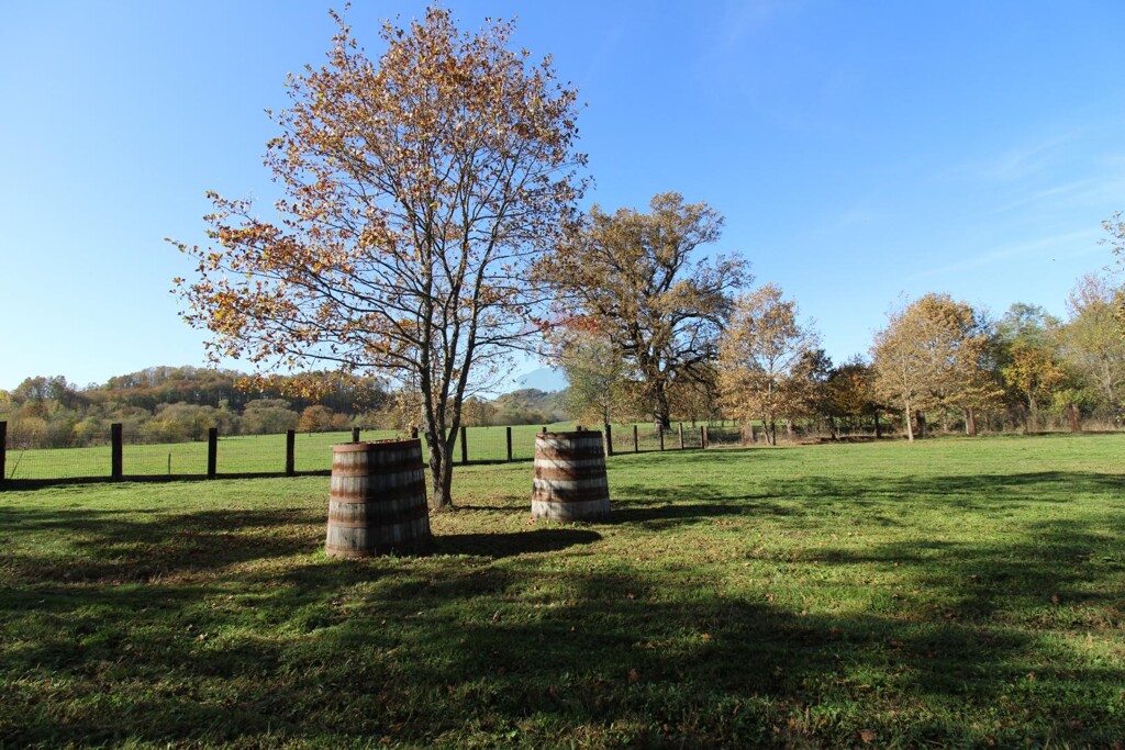 Image 5504752 - 4