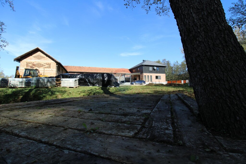 Image 5504752 - 17