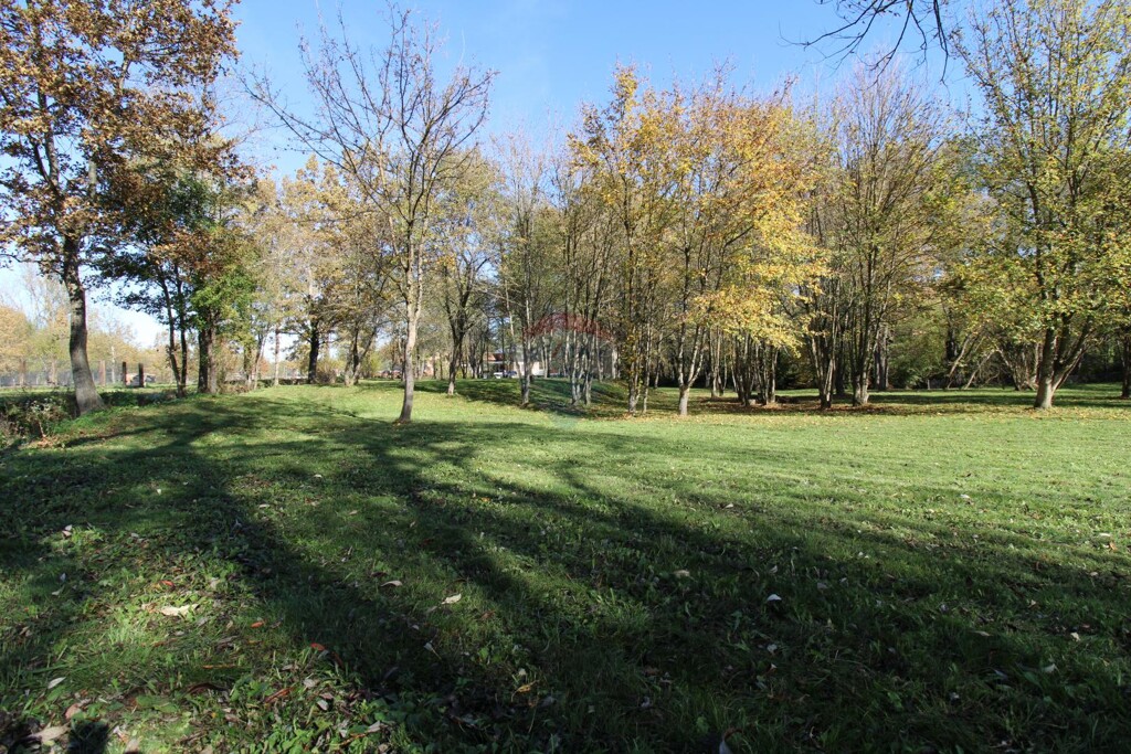 Image 5504752 - 19