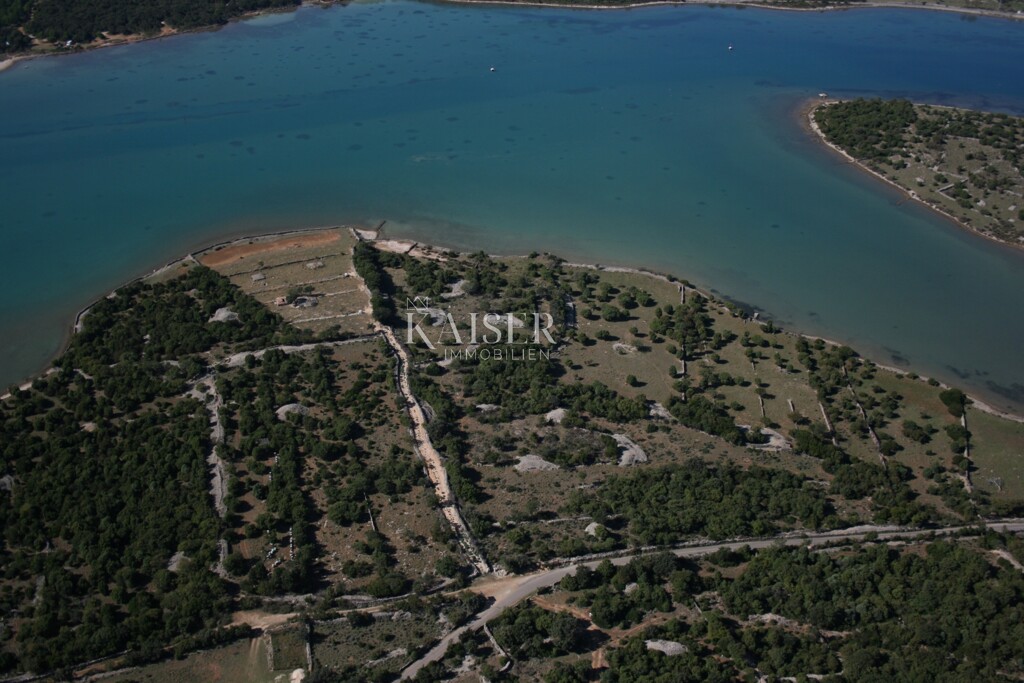 Image 5505459 - 10