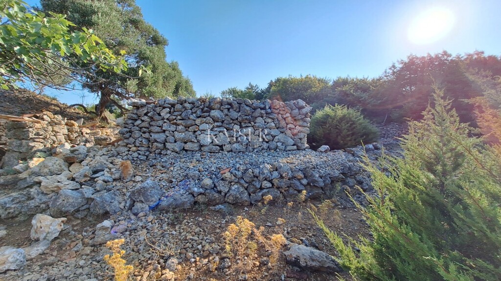 Image 5505459 - 5