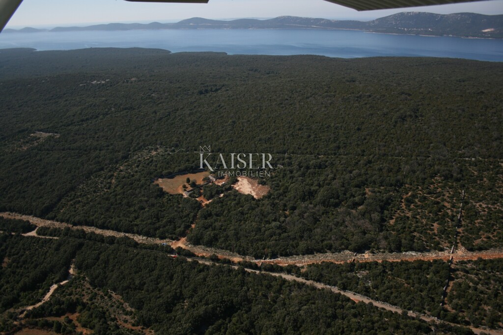 Image 5505460 - 4
