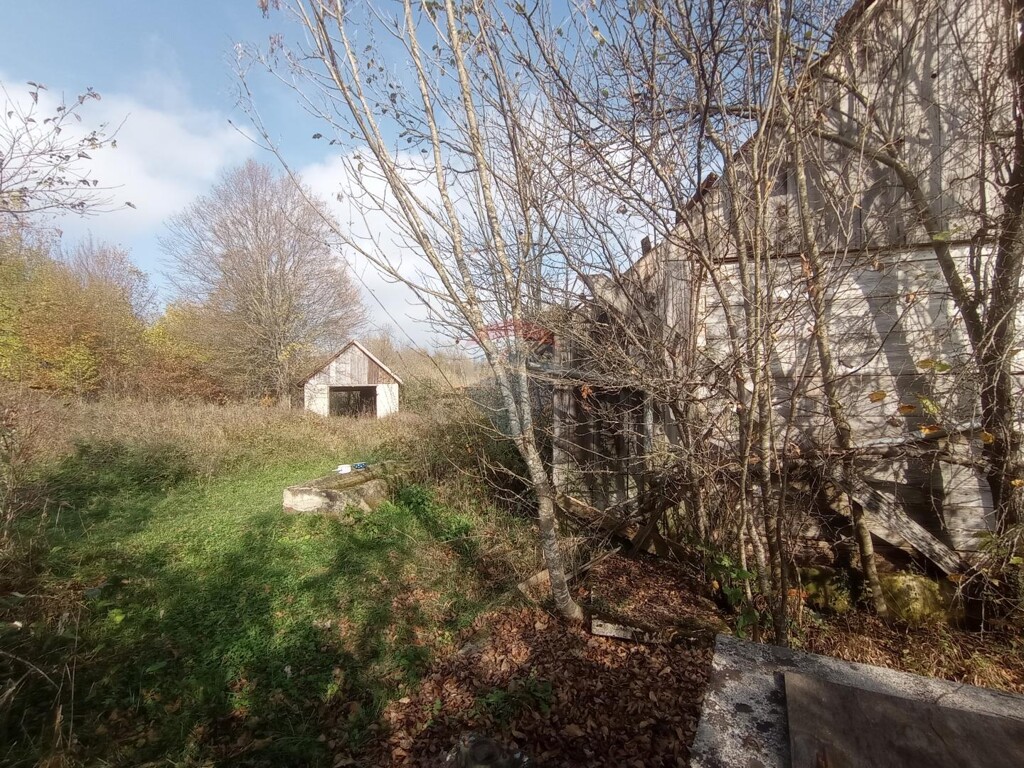 Image 5506095 - 1