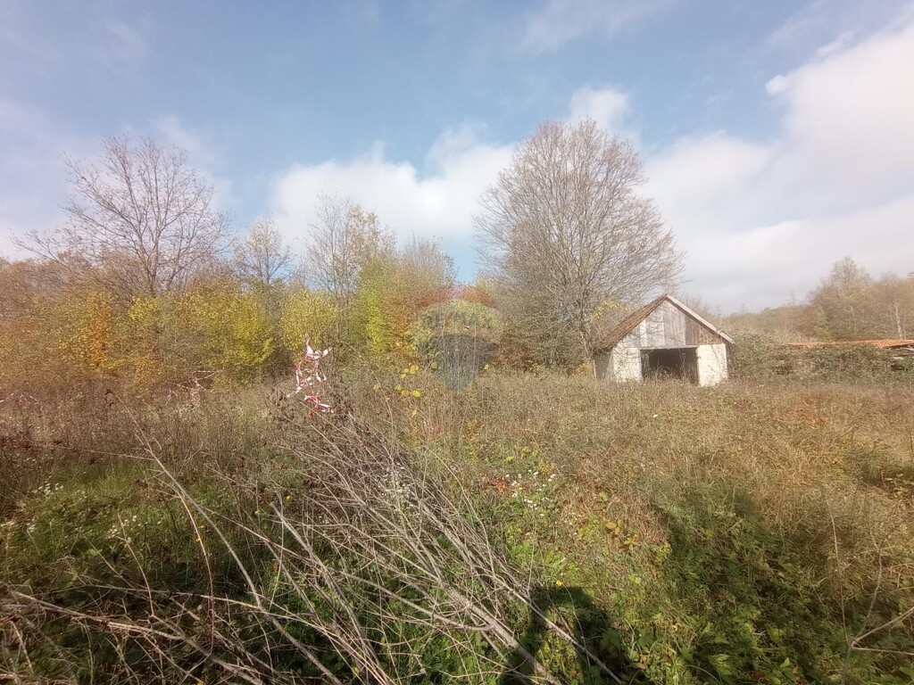 Image 5506095 - 6